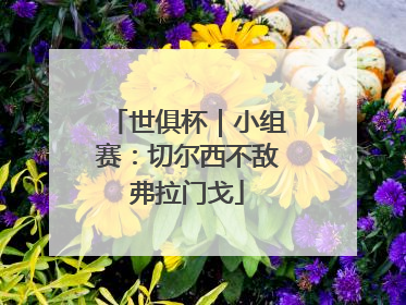 世俱杯｜小组赛：切尔西不敌弗拉门戈