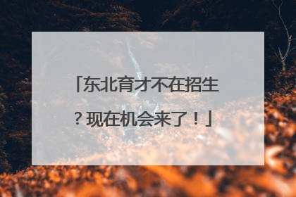 东北育才不在招生？现在机会来了！