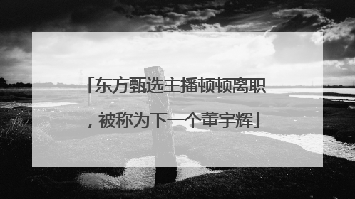 东方甄选主播顿顿离职，被称为下一个董宇辉