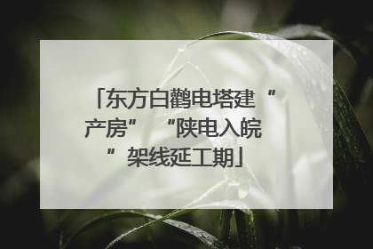 东方白鹳电塔建“产房” “陕电入皖”架线延工期