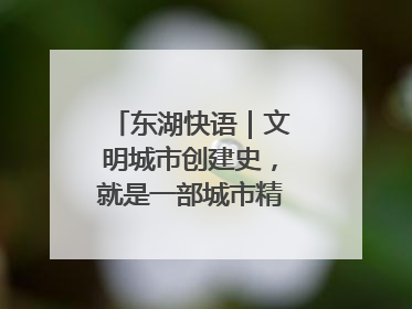 东湖快语｜文明城市创建史，就是一部城市精神成长史