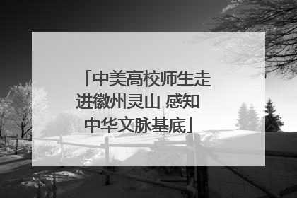 中美高校师生走进徽州灵山 感知中华文脉基底