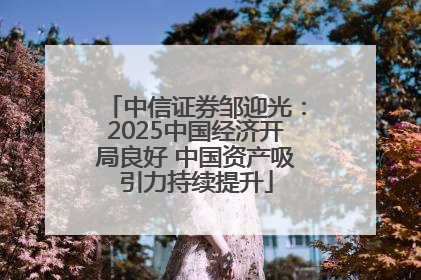 中信证券邹迎光：2025中国经济开局良好 中国资产吸引力持续提升