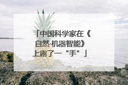 中国科学家在《自然·机器智能》上露了一“手”