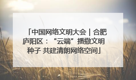 中国网络文明大会｜合肥庐阳区：“云端”播撒文明种子 共建清朗网络空间