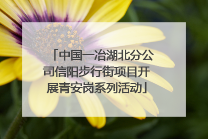 中国一冶湖北分公司信阳步行街项目开展青安岗系列活动