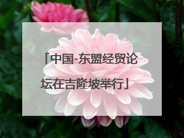 中国-东盟经贸论坛在吉隆坡举行