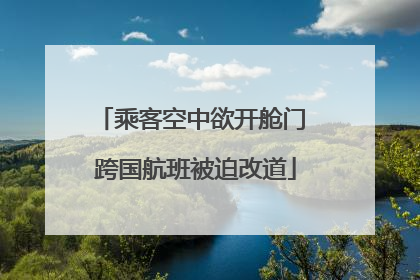 乘客空中欲开舱门 跨国航班被迫改道