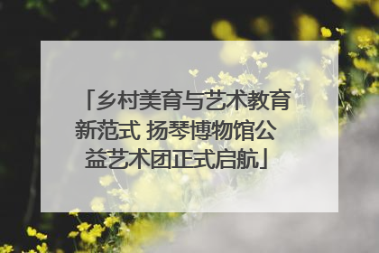乡村美育与艺术教育新范式 扬琴博物馆公益艺术团正式启航