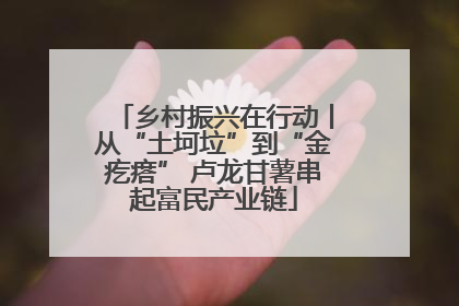 乡村振兴在行动丨从“土坷垃”到“金疙瘩” 卢龙甘薯串起富民产业链