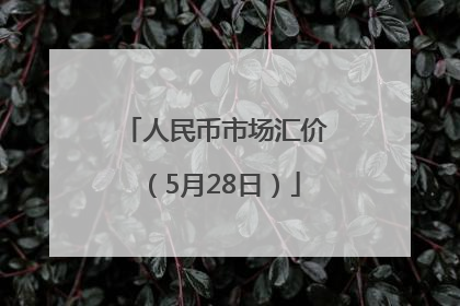 人民币市场汇价（5月28日）