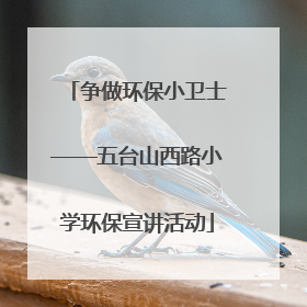 争做环保小卫士——五台山西路小学环保宣讲活动