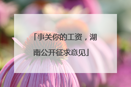 事关你的工资，湖南公开征求意见
