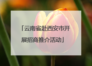 云南省赴西安市开展招商推介活动