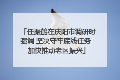 任振鹤在庆阳市调研时强调 坚决守牢底线任务 加快推动老区振兴