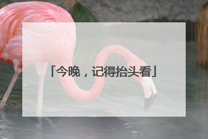 今晚，记得抬头看