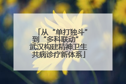 从“单打独斗”到“多科联动” 武汉构建精神卫生共病诊疗新体系