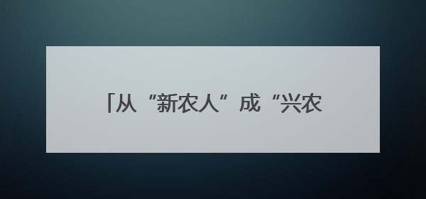 从“新农人”成“兴农人”，“90后”返乡走出致富“振兴路”