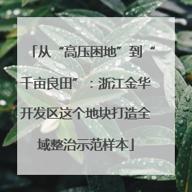 从“高压困地”到“千亩良田”：浙江金华开发区这个地块打造全域整治示范样本