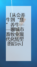 从会养牛到“慧”养牛——聊城市畜牧业现代化转型的启示