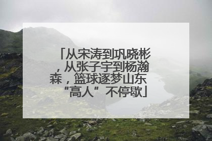 从宋涛到巩晓彬，从张子宇到杨瀚森，篮球逐梦山东“高人”不停歇