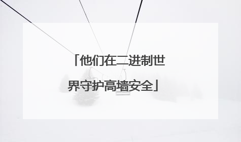 他们在二进制世界守护高墙安全