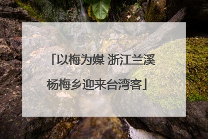 以梅为媒 浙江兰溪杨梅乡迎来台湾客