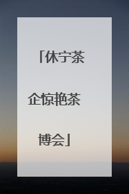 休宁茶企惊艳茶博会