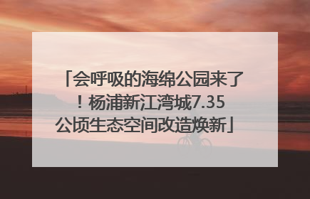 会呼吸的海绵公园来了！杨浦新江湾城7.35公顷生态空间改造焕新