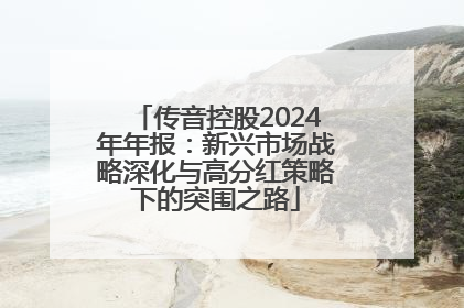 传音控股2024年年报：新兴市场战略深化与高分红策略下的突围之路