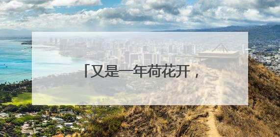 又是一年荷花开，微山湖有了新玩法