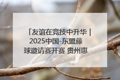 友谊在竞技中升华｜2025中国-东盟藤球邀请赛开赛 贵州惠水燃动“空中芭蕾”