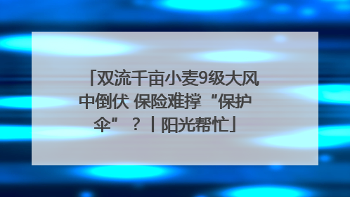 双流千亩小麦9级大风中倒伏 保险难撑“保护伞”？丨阳光帮忙