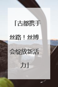 古都携手丝路！丝博会绽放新活力