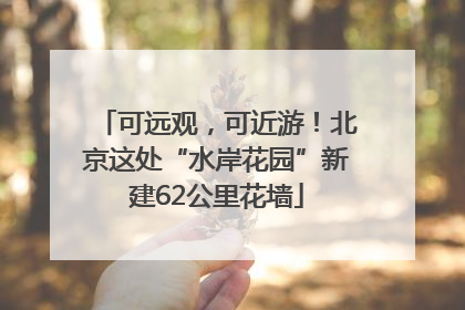 可远观，可近游！北京这处“水岸花园”新建62公里花墙