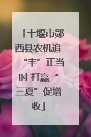十堰市郧西县农机追“丰”正当时 打赢“三夏”促增收