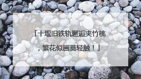 十堰旧铁轨邂逅夹竹桃，繁花似画莫轻触！