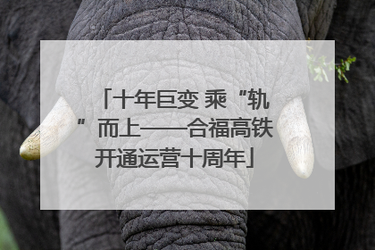 十年巨变 乘“轨”而上——合福高铁开通运营十周年