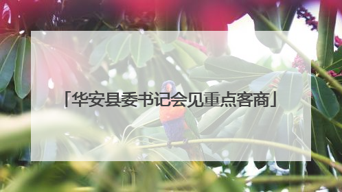 华安县委书记会见重点客商