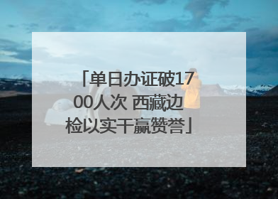 单日办证破1700人次 西藏边检以实干赢赞誉