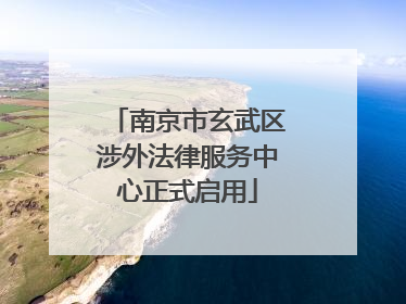 南京市玄武区涉外法律服务中心正式启用