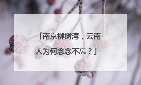 南京柳树湾，云南人为何念念不忘？