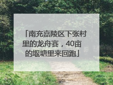 南充嘉陵区下张村里的龙舟赛，40亩的堰塘里来回跑