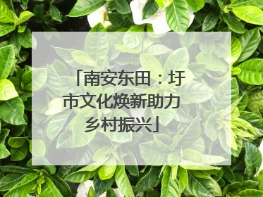 南安东田：圩市文化焕新助力乡村振兴
