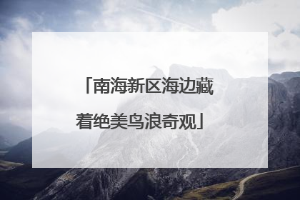 南海新区海边藏着绝美鸟浪奇观