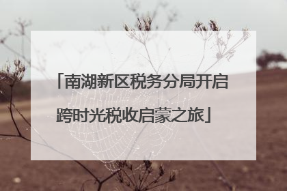 南湖新区税务分局开启跨时光税收启蒙之旅