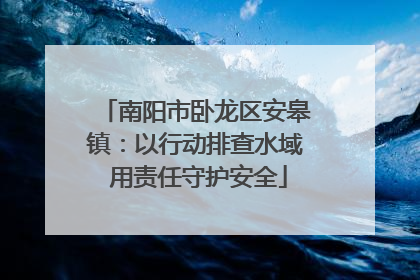 南阳市卧龙区安皋镇：以行动排查水域 用责任守护安全