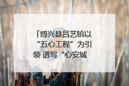 博兴县吕艺镇以“五心工程”为引领 谱写“心安城市”建设新篇章