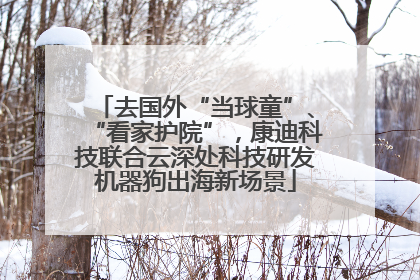 去国外“当球童”、“看家护院”，康迪科技联合云深处科技研发机器狗出海新场景