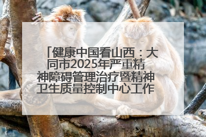 健康中国看山西：大同市2025年严重精神障碍管理治疗暨精神卫生质量控制中心工作培训班开班